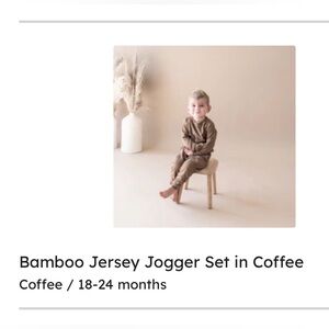 Kyte Bamboo Jersey Jogger Set in Coffee 18-24 months